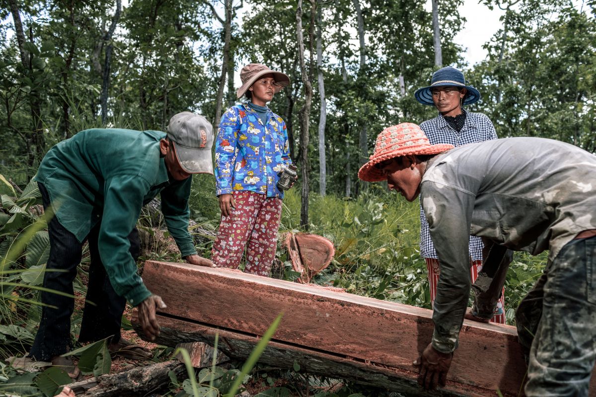 Rey Seakla is ready to mark the log for the next cut. She joined the deadwood harvesting program in 2020 and is also a member of a community forest credit scheme. Kbal Damrei Commune, Sambo District, Kratie, Cambodia, 24 August 2020.