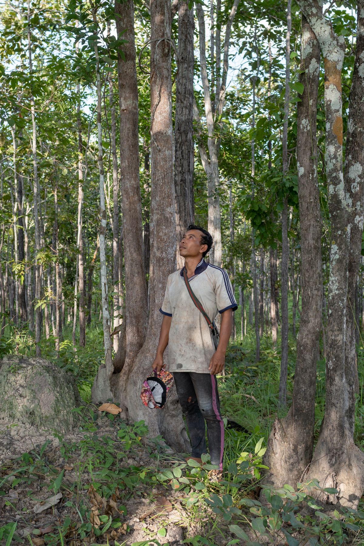 Tuy Sophon, the founder of the community forestry credit scheme