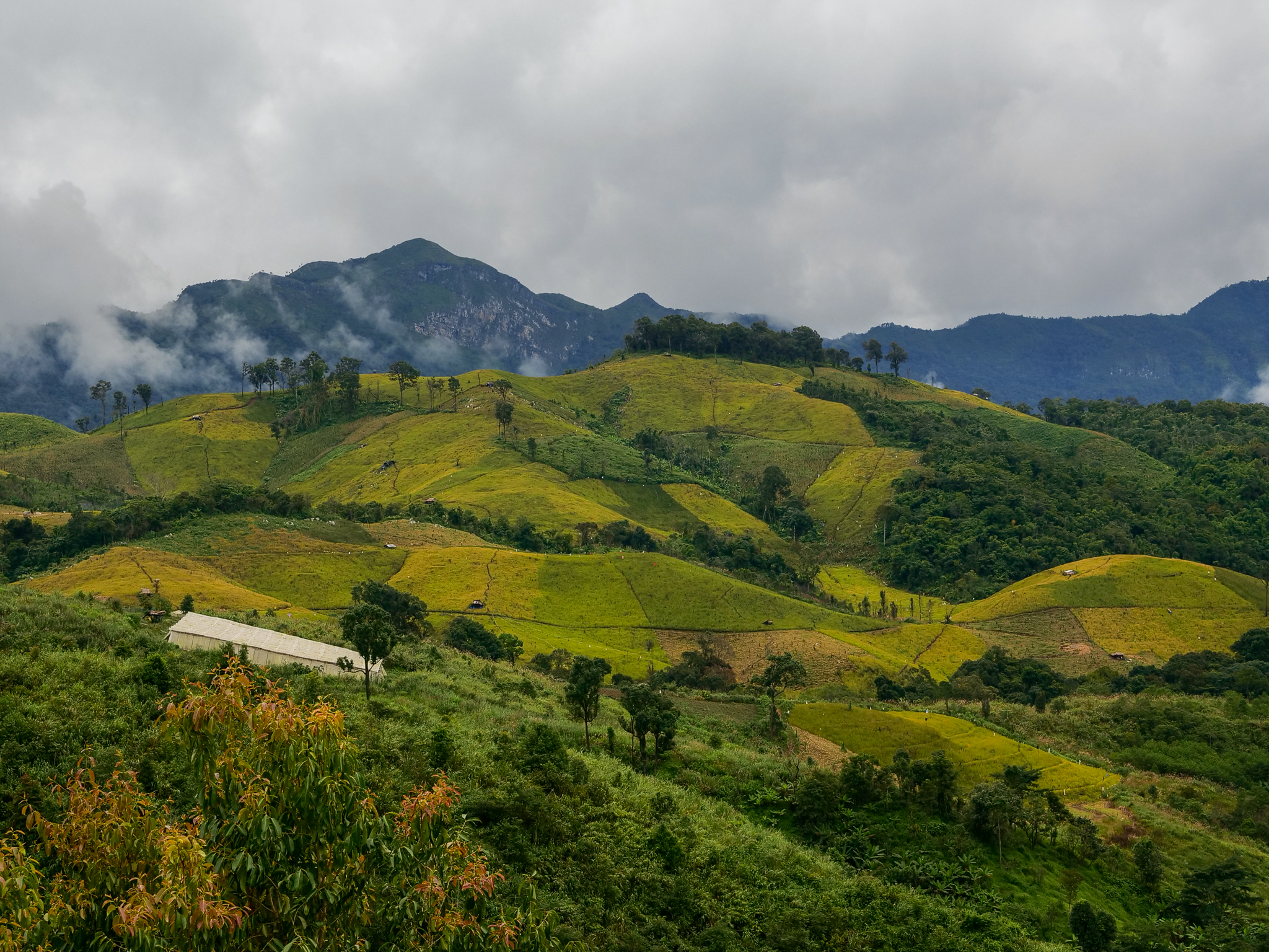 โครงการจัดการไฟโดยชุมชนเป็นฐานพบว่าพื้นที่ภูเขาซึ่งใช้ทำการเกษตร ในบ้านมณีพฤกษ์ เป็นเขตที่เสี่ยงต่อการเกิดไฟป่า ภาพถ่ายโดย RECOFTC