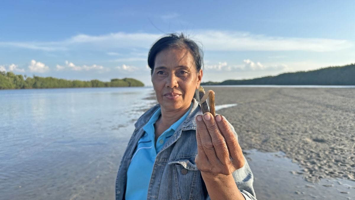 The marine resources of Ban Nuea Nam community mangrove forest in Surat Thani province are the backbone of the community’s livelihoods and economy.