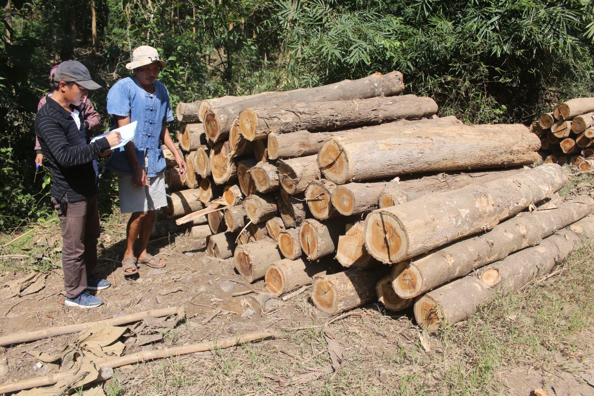 Registration of teak logs legally sourced from a verified plantation source 