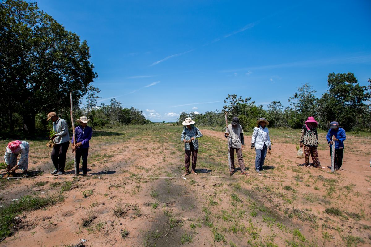 Members of Prey Kbal Bey Community Forest plant a nursery on a degraded part of land. One of the issues with community forestry is that it is often granted on previously degraded land. Nurseries provide one opportunity to overcome this legal limitation.