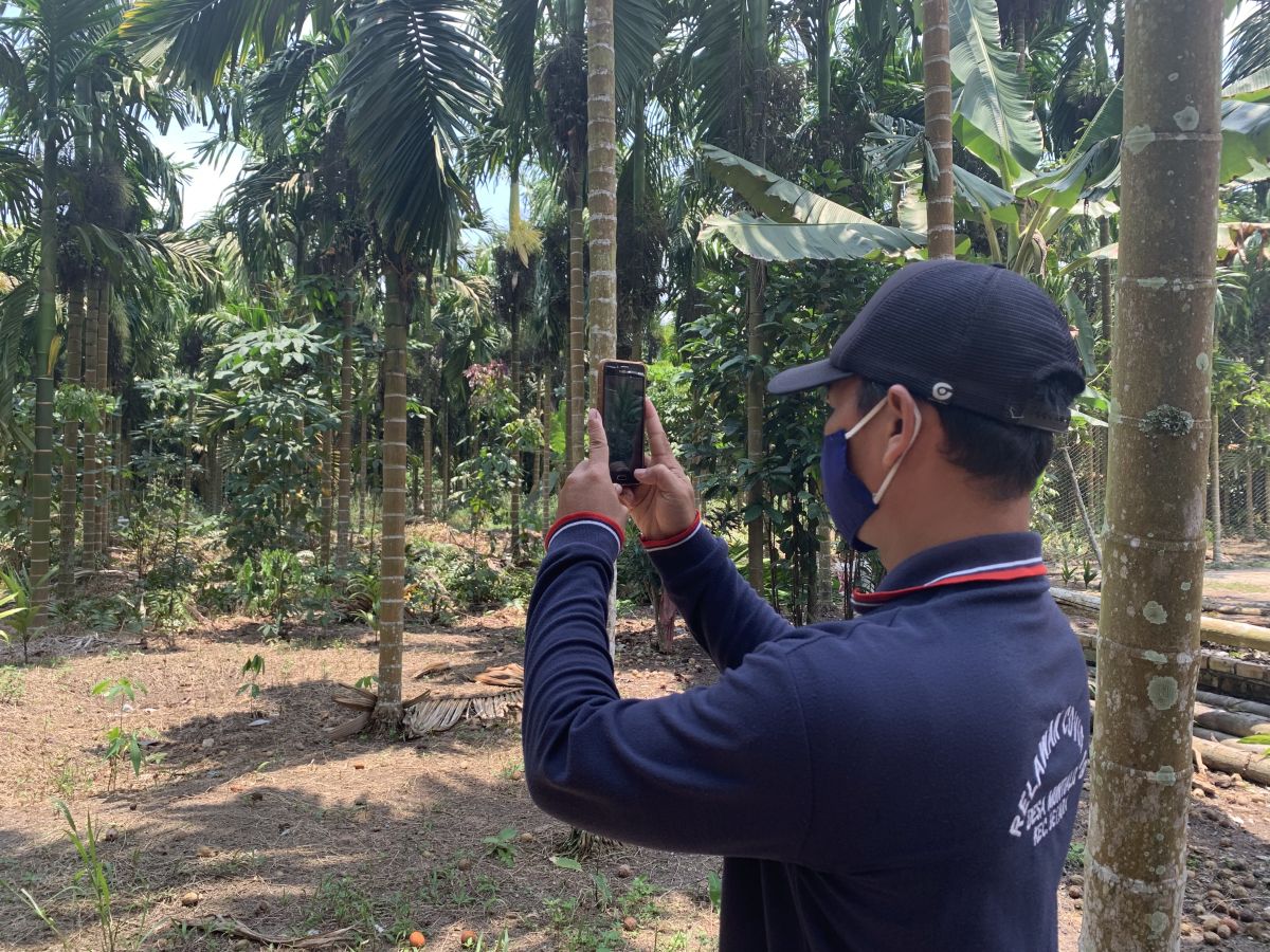 Usman Hamid Salam Syamsuri, warga Desa Muntialo, menjalankan tugasnya menjaga kelestarian lingkungan dengan memberitakan kegiatan dan informasi terbaru melalui aplikasi TempoWitness. Foto: @RECOFTC Indonesia
