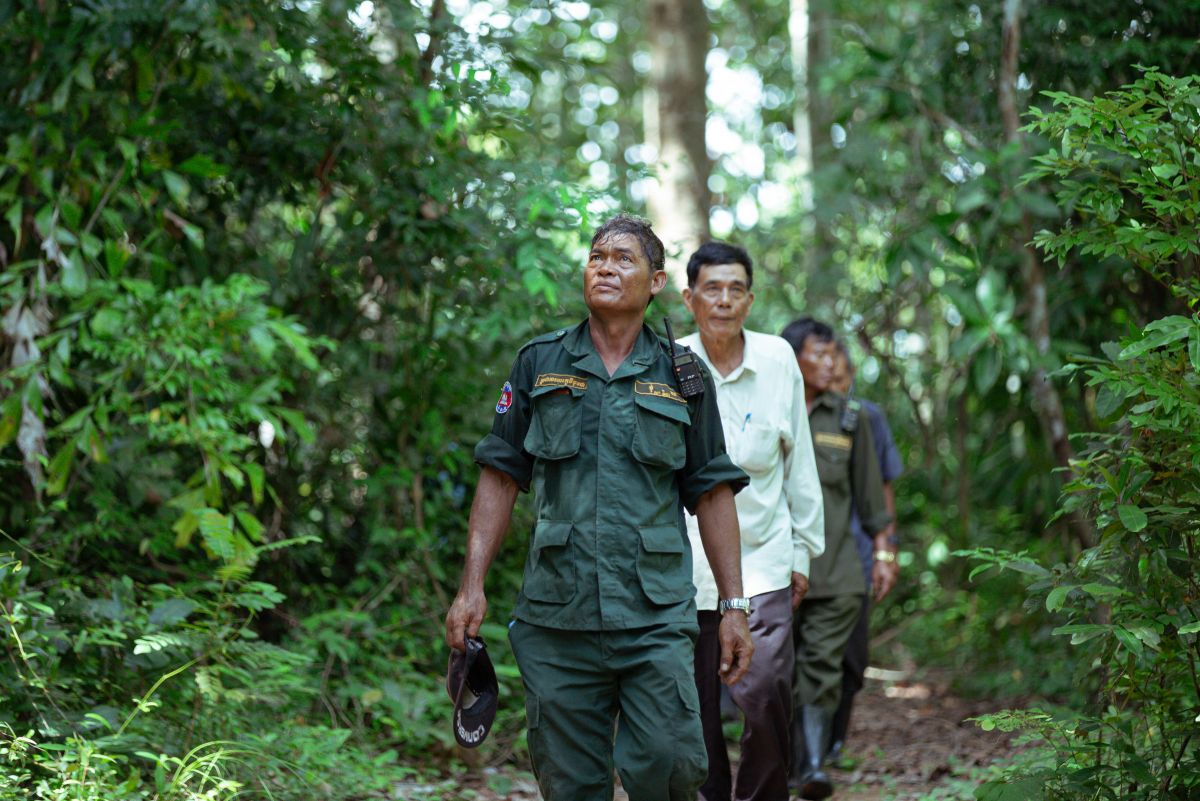 In the early 2000s, many community forests failed to gather support from local authorities. This was not the case in Thbong Domrey, above. Strong support from local authorities fostered a robust community forest.