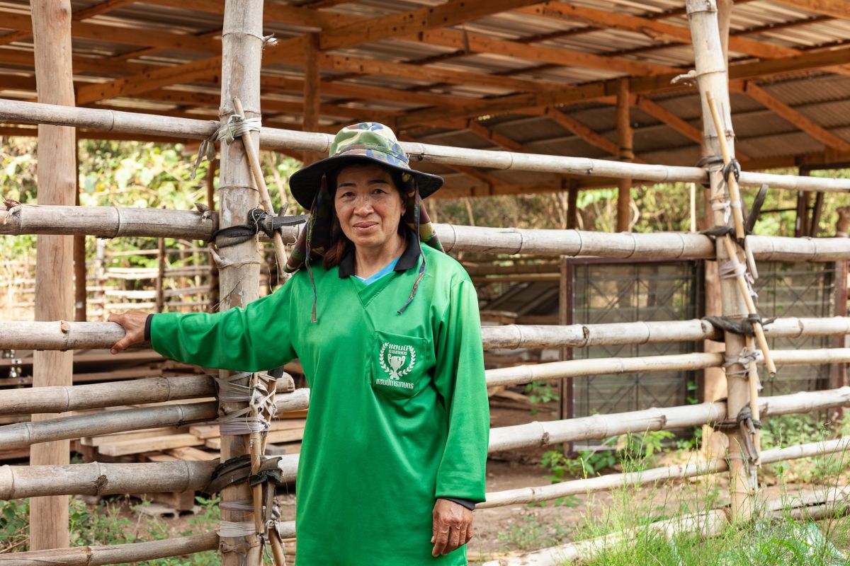 Pom built her animal enclosures from the timber of her “ironwood” trees (Casuarina junghuhniana) as one of her livelihood add-ons 