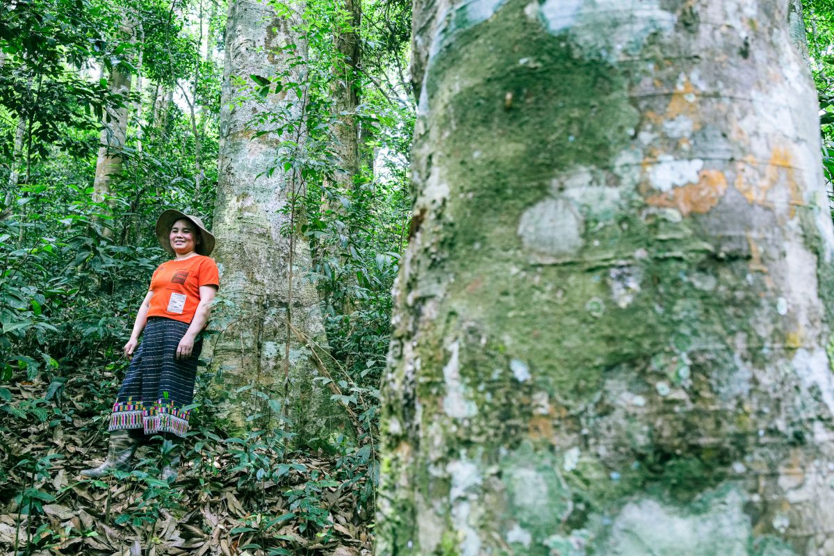 Lo Thi Hien walks in the forest near her house in Muong Phu Village, Thong Thu Commune, Que Phong District, Nghe An, Viet Nam.