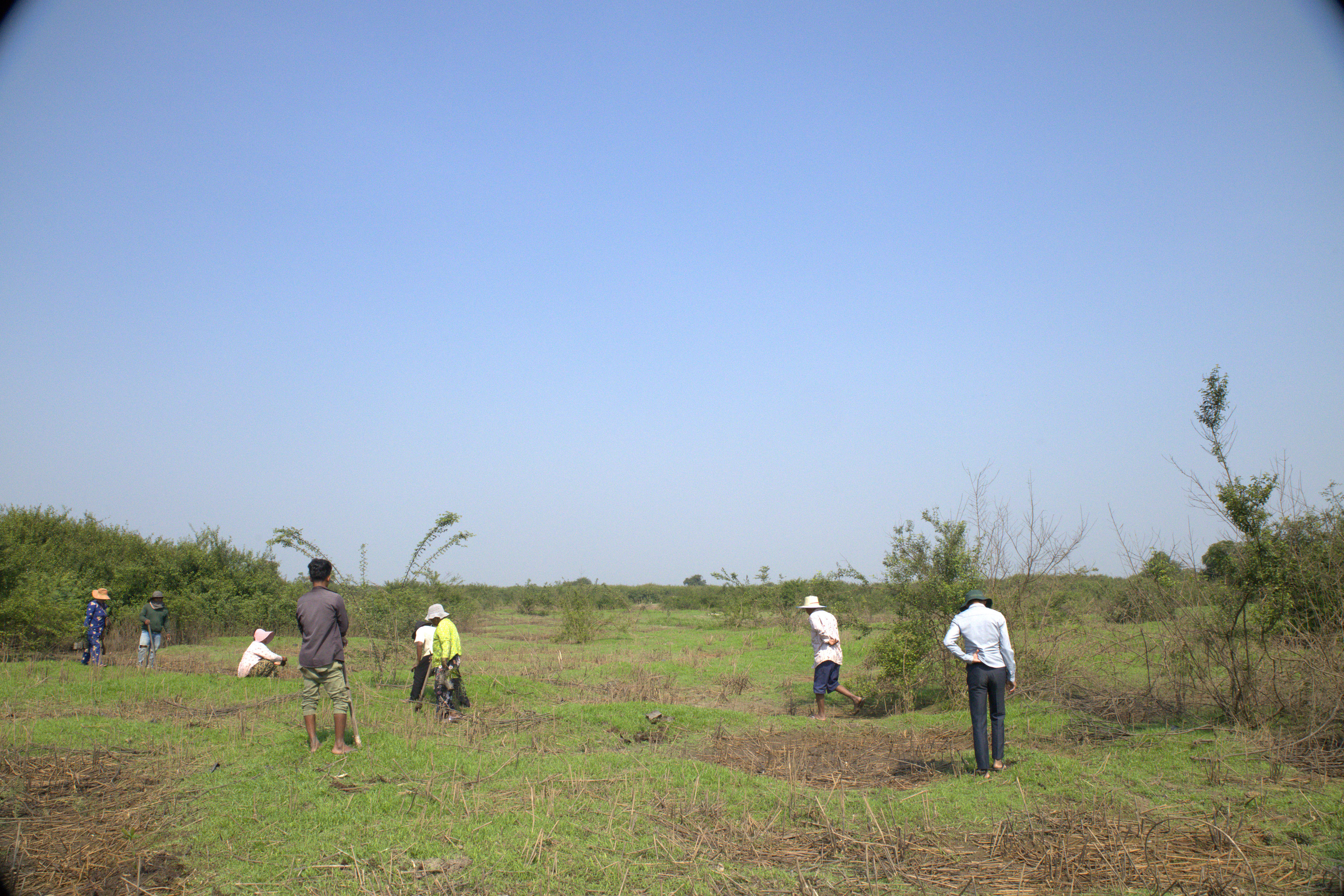 Locals planting trees at the Anlong Ta Ou Community Fishery