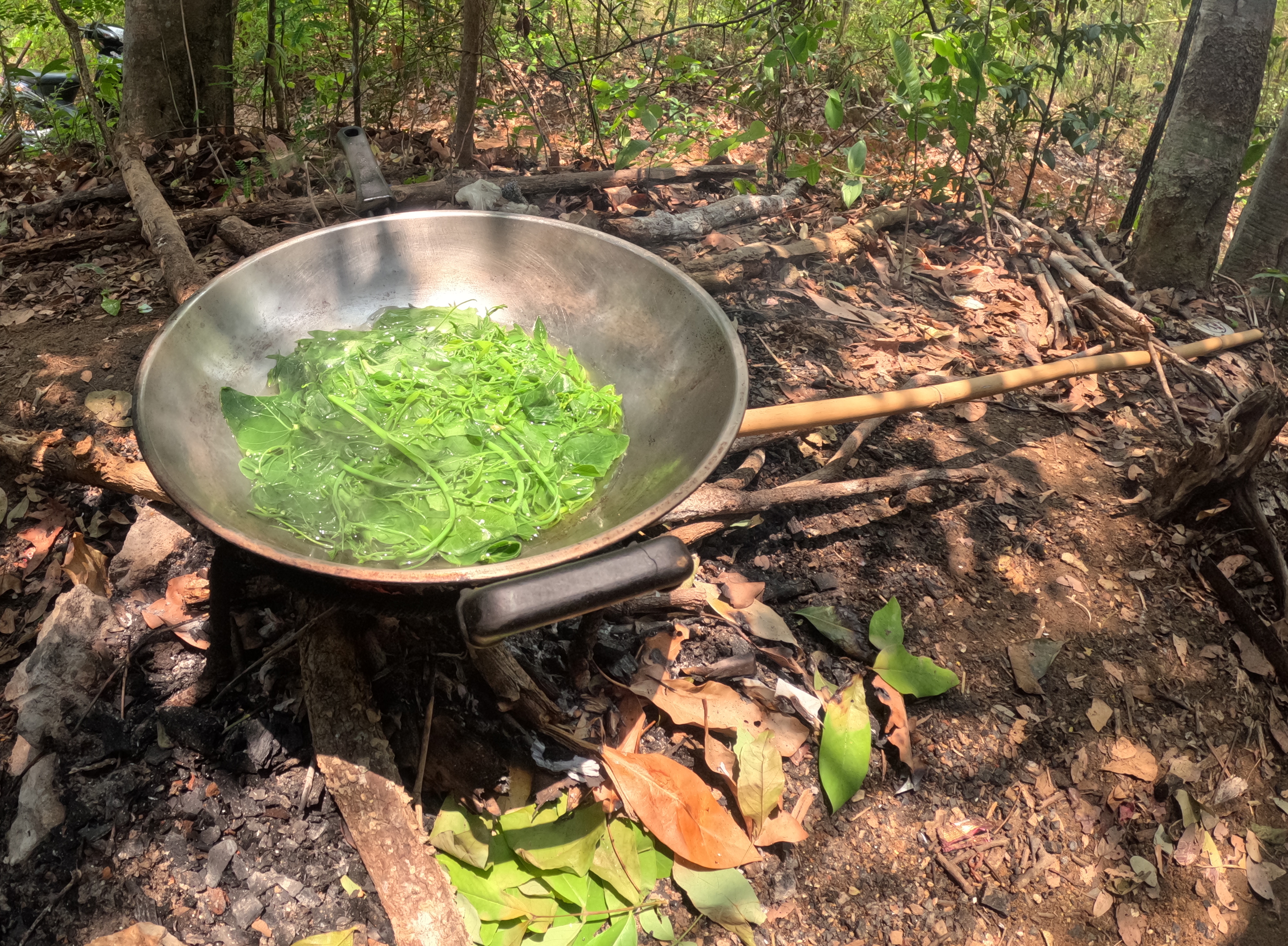 Edible plants from the community forest being cooked for lunch.