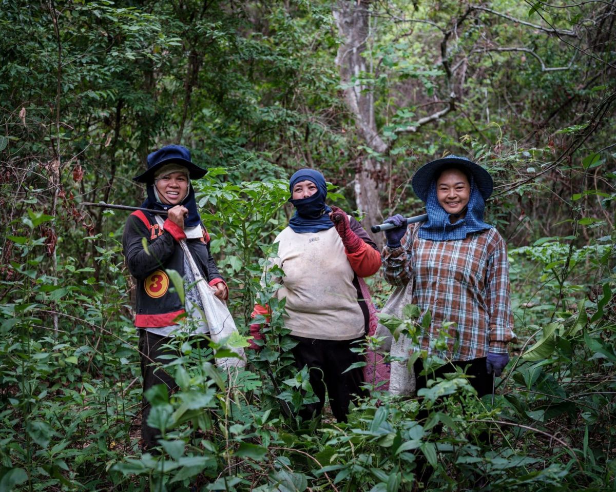 Impact of COVID-19 on forest communities in Thailand