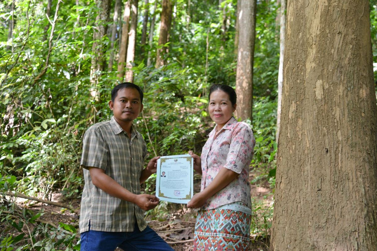 Securing land and forest tenure rights
