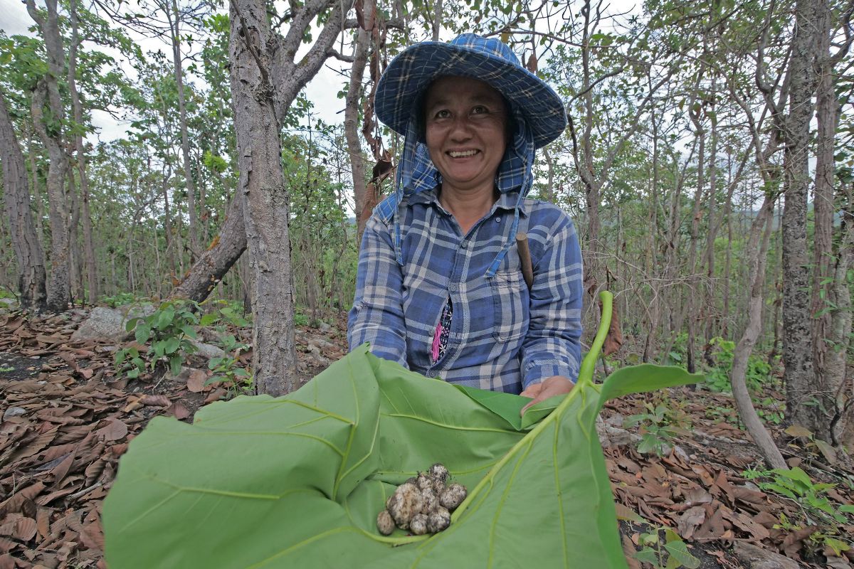 Forest resource and biodiversity data collection training ensure that community members can develop community forest management plans that respond to their specific needs and contexts.