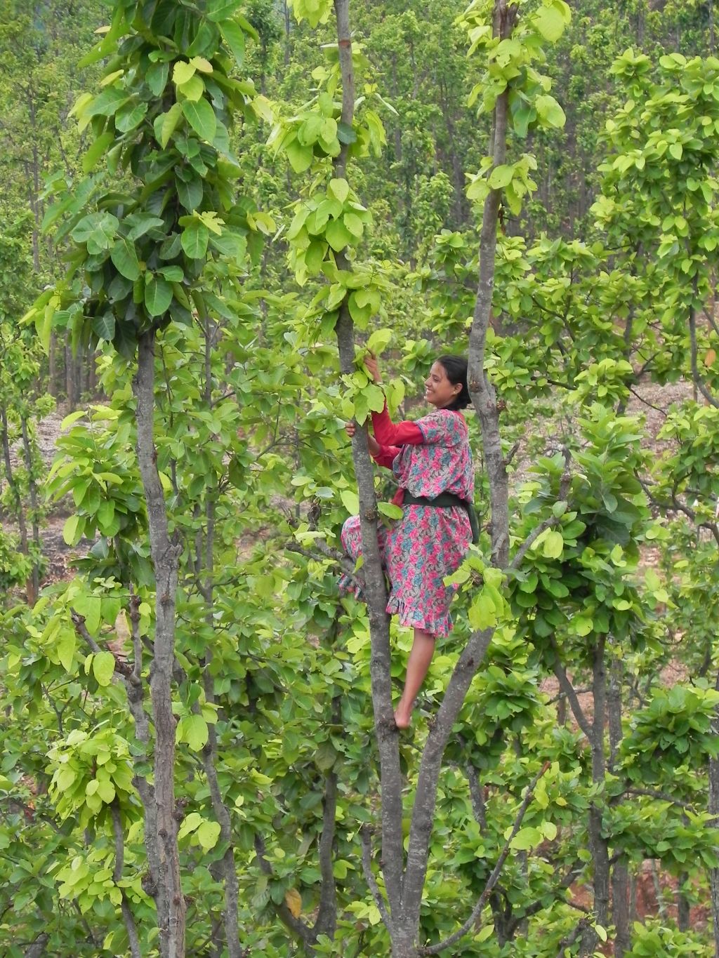 Making forestry work for women