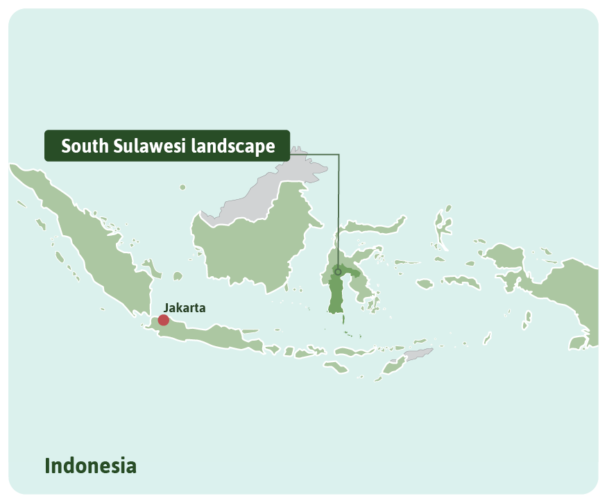 South Sulawesi