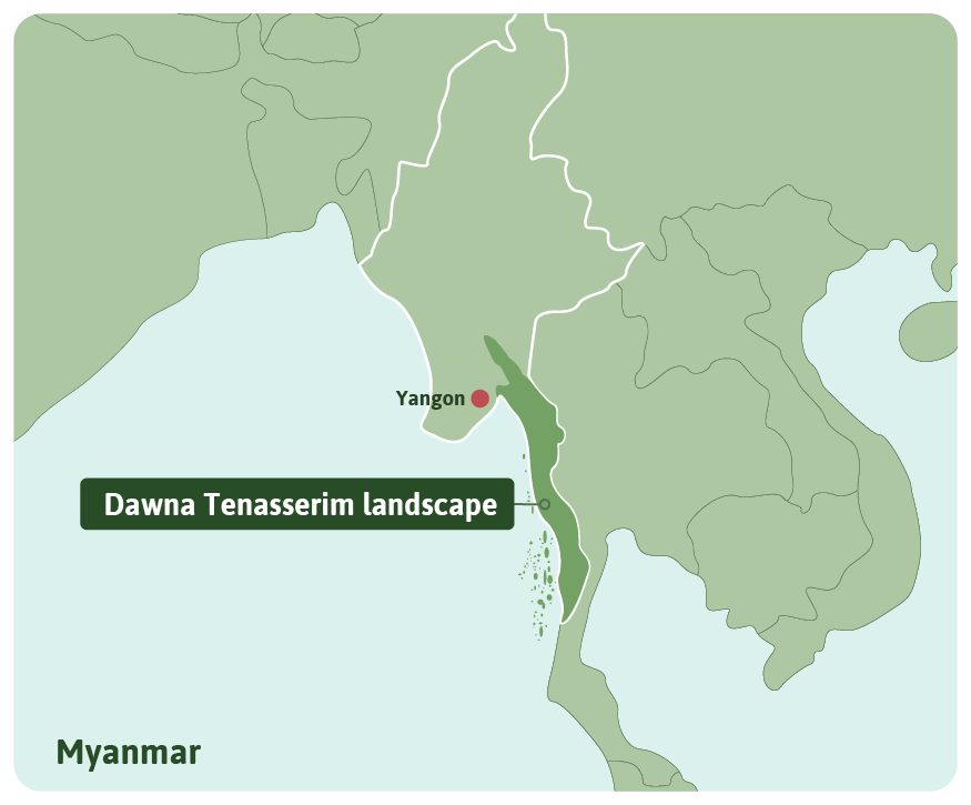Dawna Tenasserim landscape