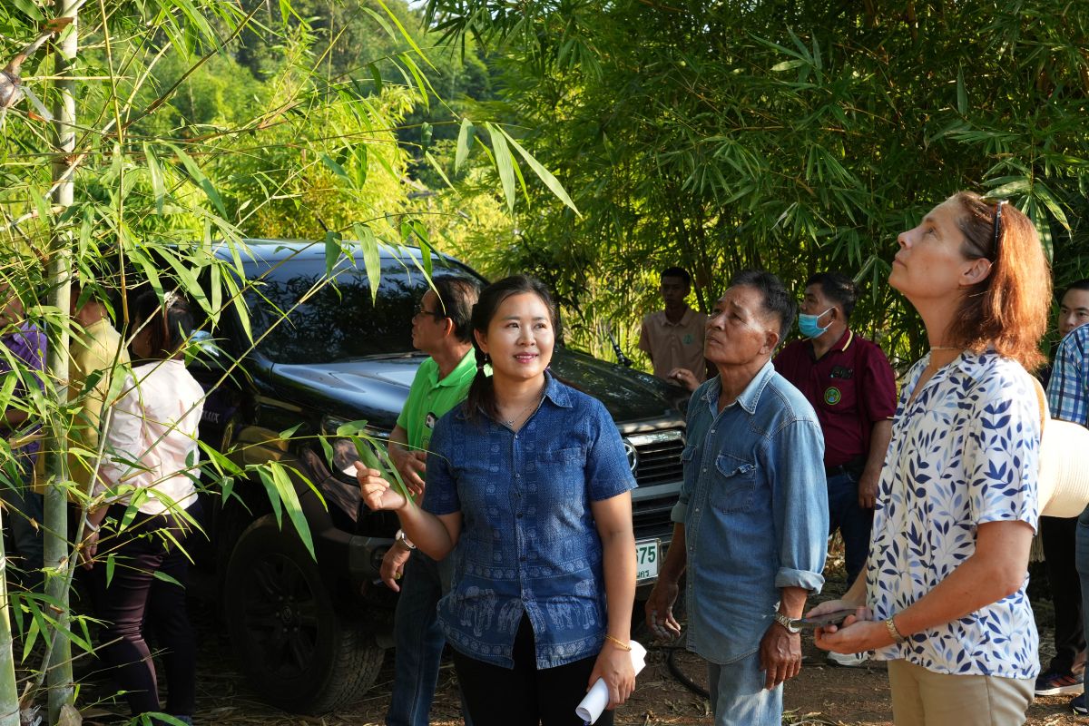 Pao and Pradit showing their bamboo grove to HE Ms Hammargren at the Ban Prao Bamboo Learning Center.