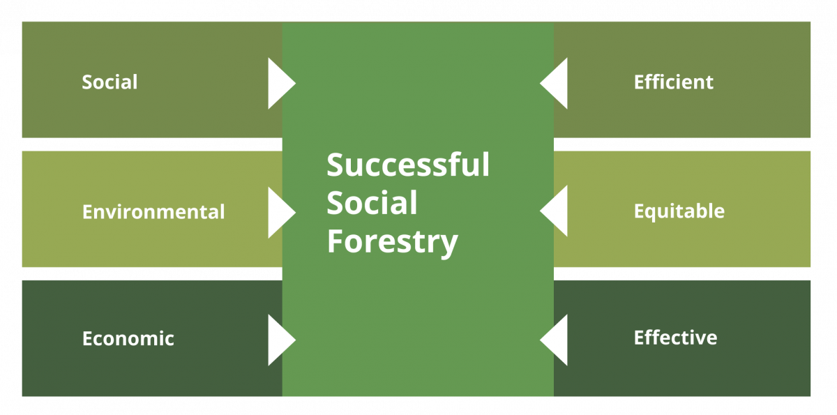 Graphic showing that successful social forestry requires social, environmental and economic dimensions and should follow the 3E criteria