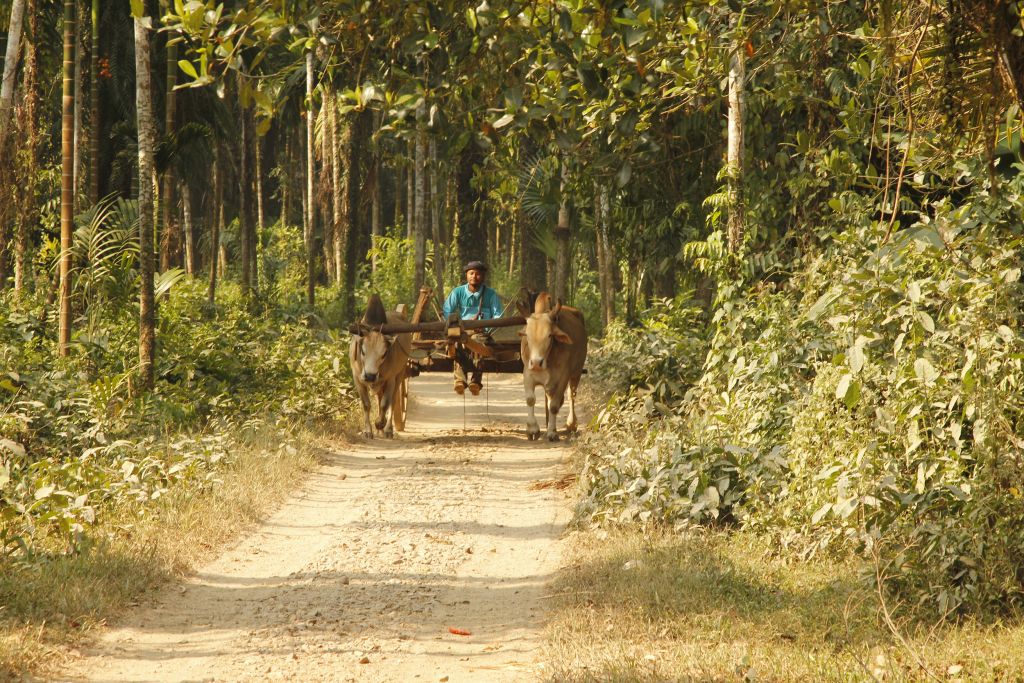 How can we assess the rights and benefits of forest-dependent people in new holistic ways?