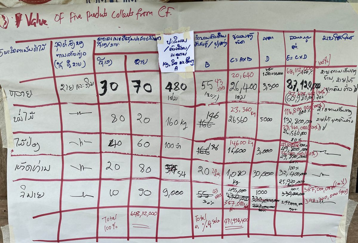 The RECOFTC team prepared simple data collection templates using flip charts. Photo: RECOFTC