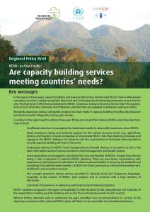 Are capacity building services meeting countries’ needs in Asia-Pacific?
