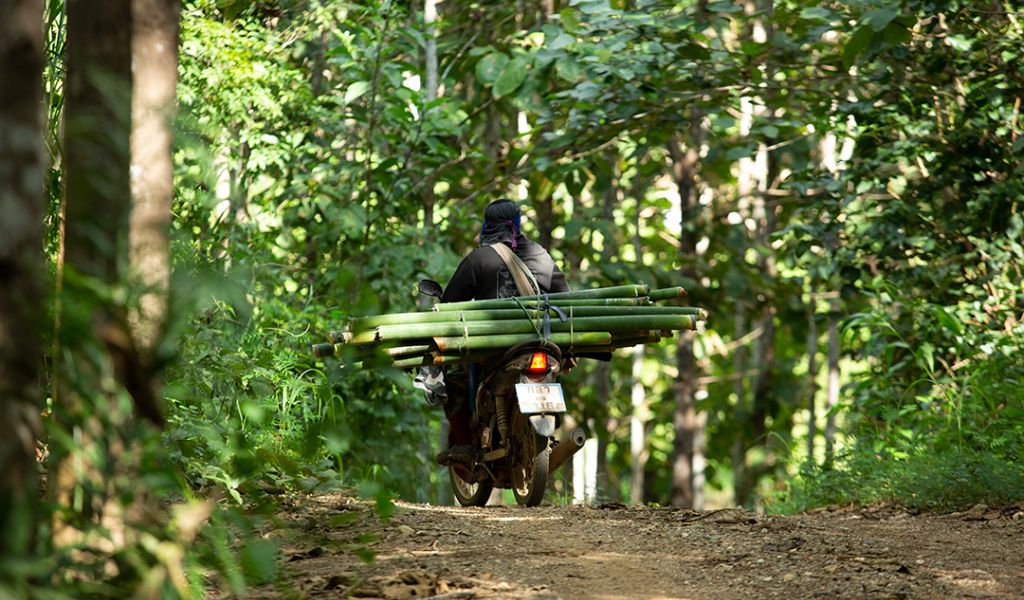 man with bamboo