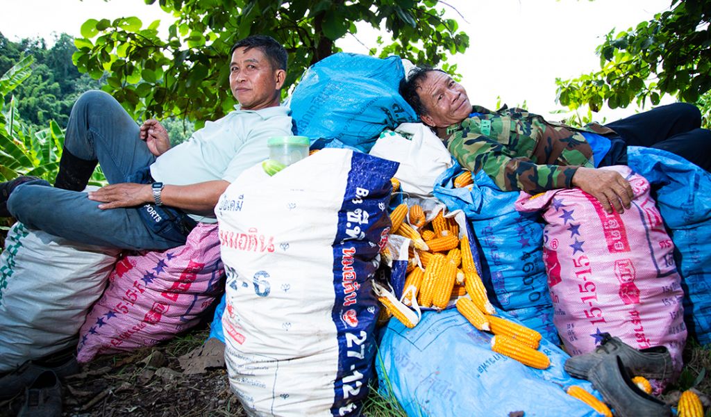 Men rest on a pile of corn