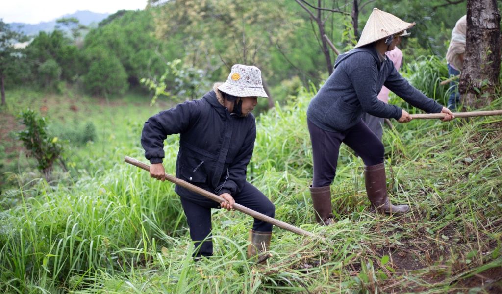 Community members practice making a fire break near a village in Lam Dong province, Viet Nam