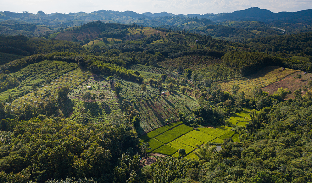 Aerial photo of Thailand