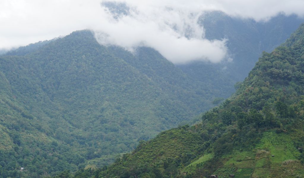 landscape of South Sulawesi