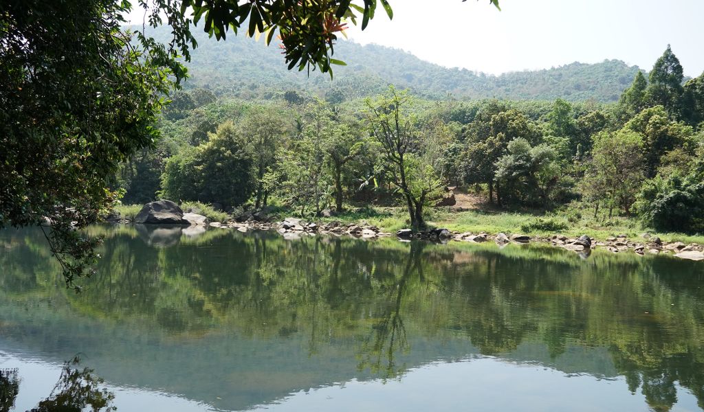 Kodagu Model Forest in Karnataka, India