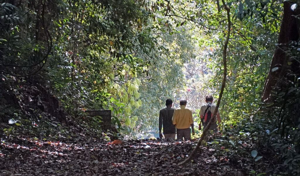 Model forest in Thailand