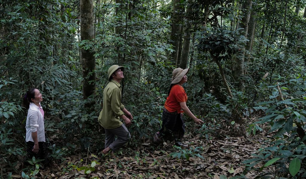 A community forest in Thong Thu, a commune in Que Phong district, Nghe An, Viet Nam. The community forest patrol comprises both men and women.