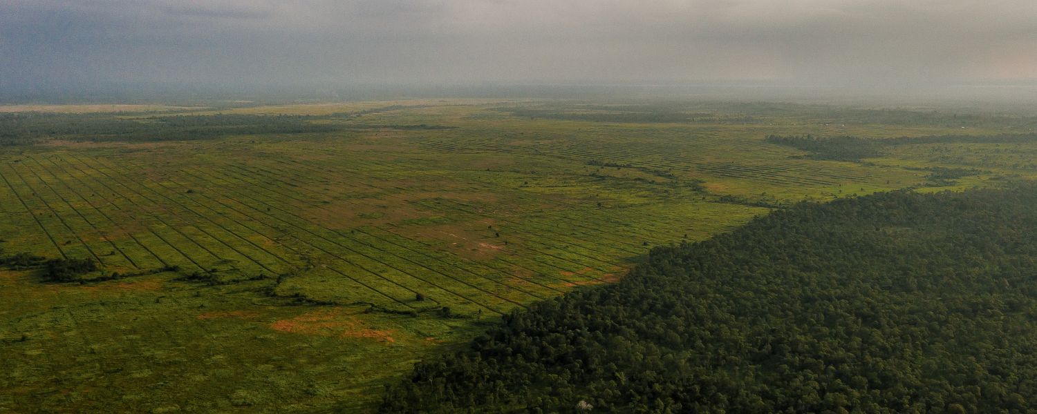 Landscape surrounding Kbal Damrei Commune, Sambour District, Kratie Province,