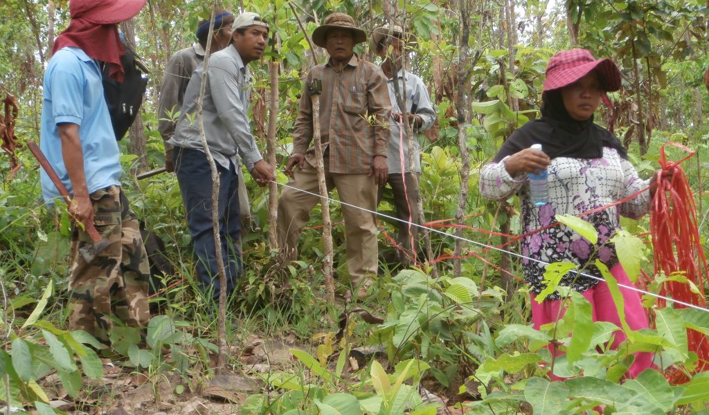 Forest inventory in Pursat province