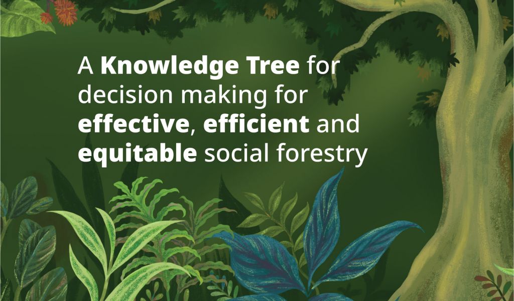 A tree in a forest, "A Knowledge Tree for decision making for effective, efficient and equitable social forestry"