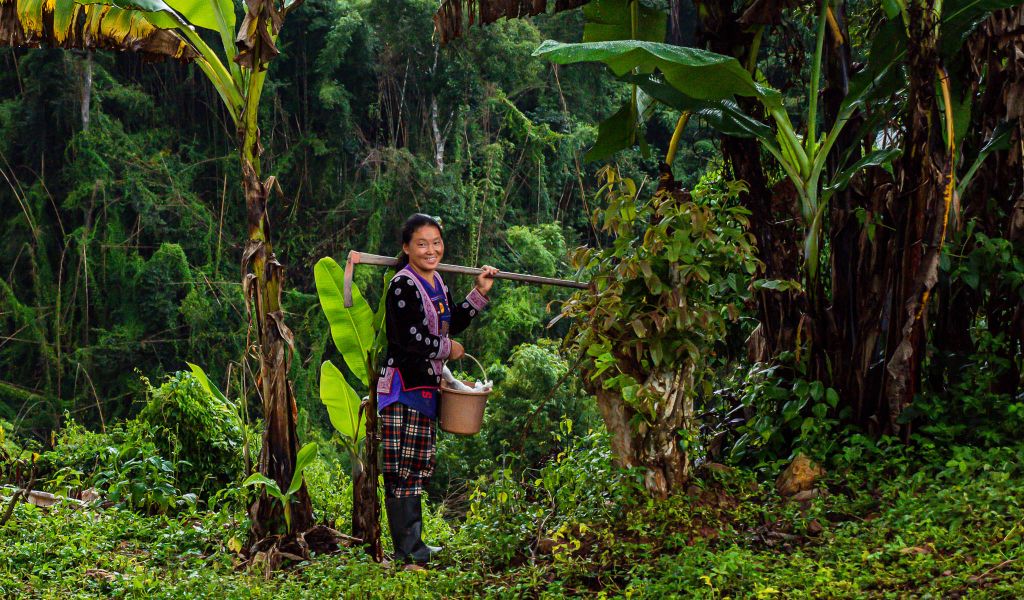 Boon Or Bane: COP28 For People And Forests | RECOFTC