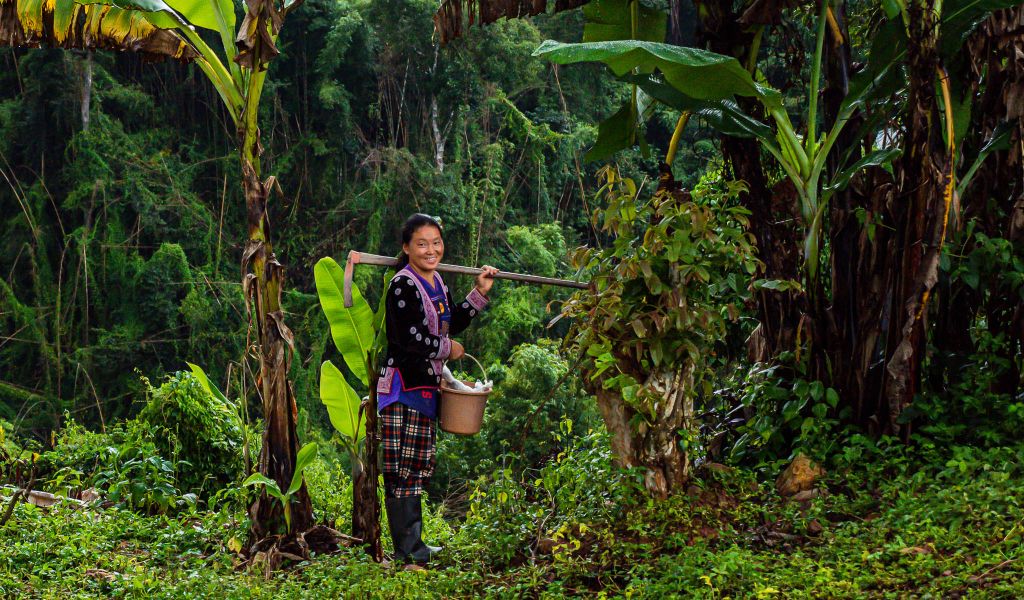 A local woman in Kio Nam Village in Thailand, where RECOFTC collaborates with the Hmong community to help address the impacts of climate change. 