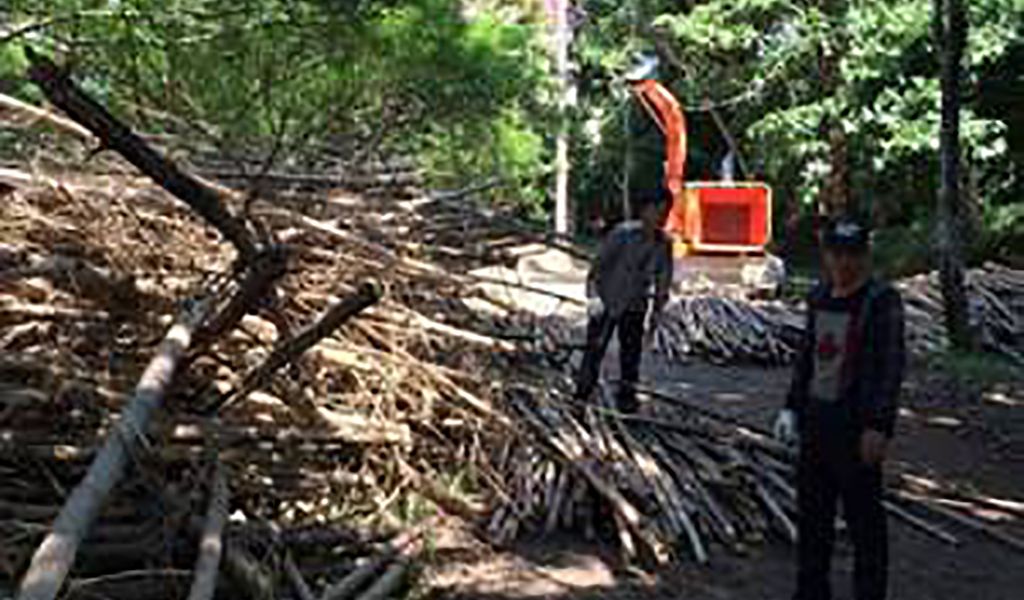 Harvesting bamboo as a renewable energy source and improving livelihoods – a win-win solution for farmers in Lao PDR