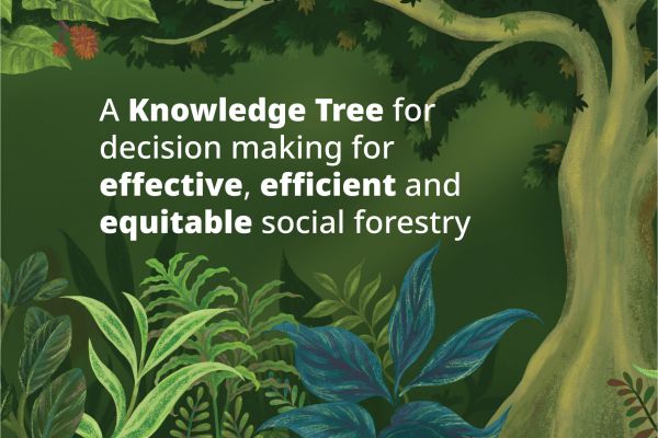 A tree in a forest, "A Knowledge Tree for decision making for effective, efficient and equitable social forestry"
