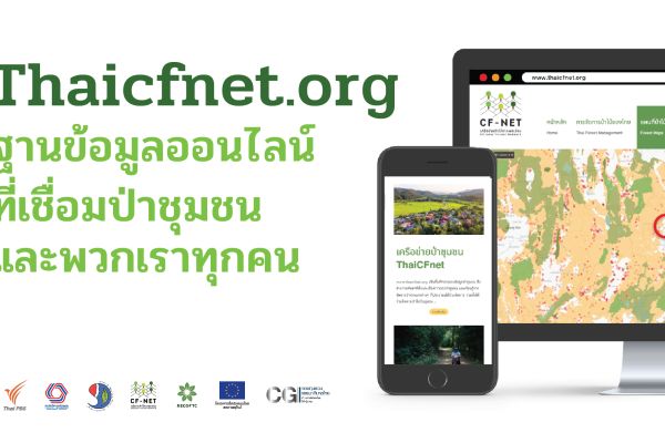 Thai CFnet.org