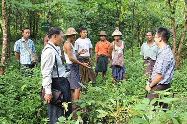 Ahleichaung CF Rakhine explaining iron wood management