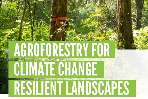 Agroforestry for Climage Change Resilient Landscapes