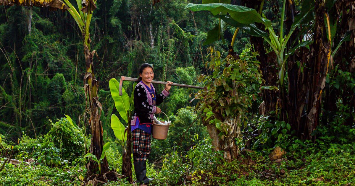 Boon Or Bane: Cop28 For People And Forests 