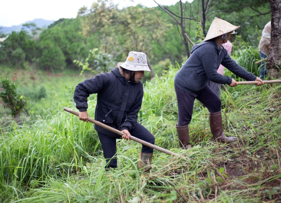 Community members practice making a fire break near a village in Lam Dong province, Viet Nam