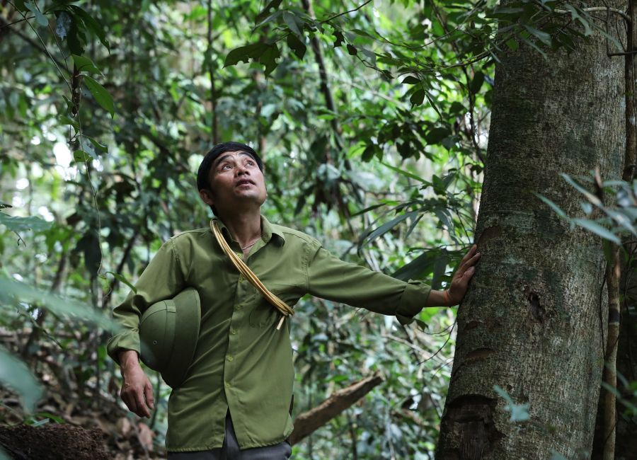 Luong Van Nguyen, a village chief, patrols a section of the community forest his village manages in Thong Thu commune, Que Phong district, Viet Nam. Photo by RECOFTC.