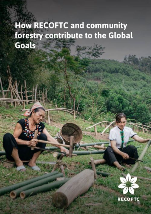 How RECOFTC and community forestry contribute  to the Global Goals 