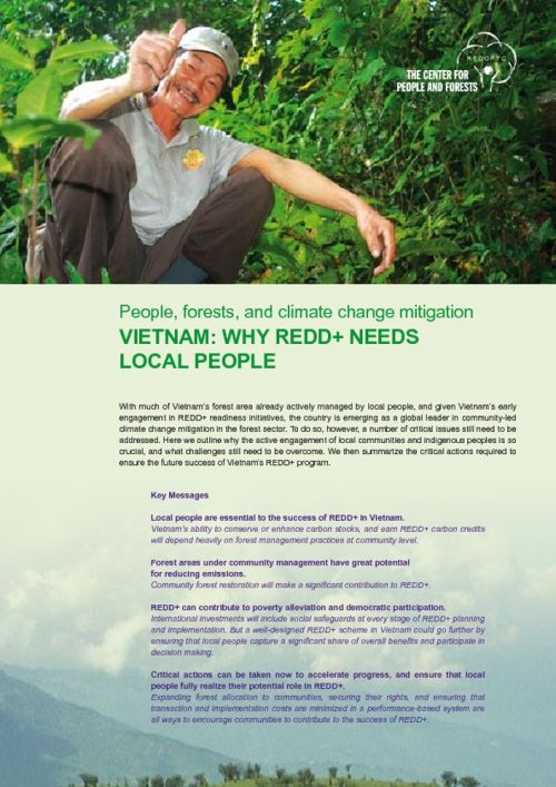 Việt Nam: Tại sao REDD+ cần người dân địa phương