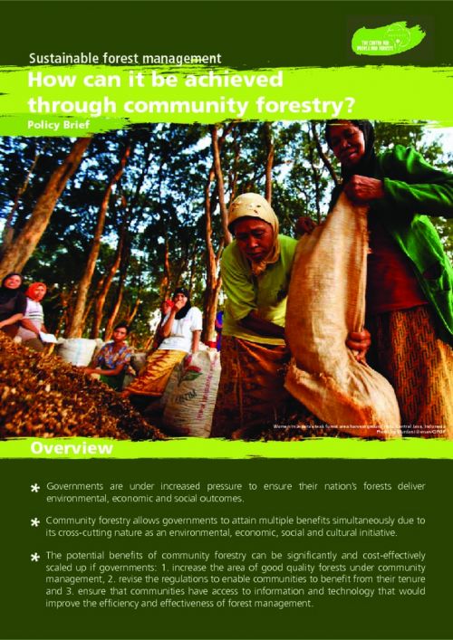 Sustainable Forest Management: How Can It Be Achieved Through Community ...