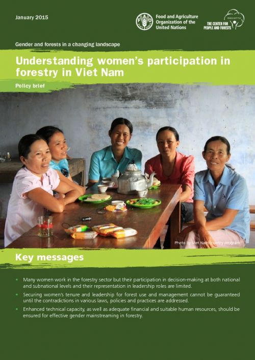 Understanding Women's Participation in Forestry in Viet Nam