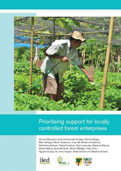 Prioritising support for locally controlled forest enterprises