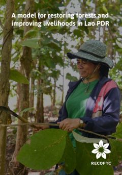 A model for restoring forests and improving livelihoods in Lao PDR